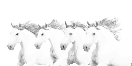 El Blancos Photography Print