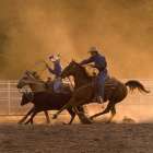 Roping on the Ranch II Art Print