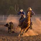 Roping on the Ranch III Art Print