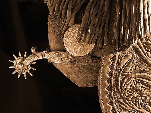 Star Spur Photography Print