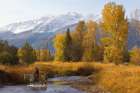 Wallow County Art Print