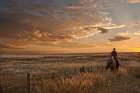Sunset on the Prairie Art Print