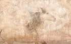 The Fresco Horse Art Print