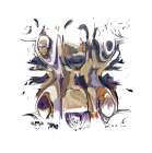 Which Way II Art Print
