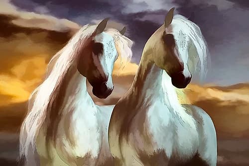Arabian Brothers IV Art Print