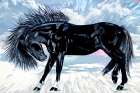 Friesian Horse Art Print