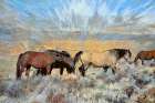 Grazing On the Grass Art Print