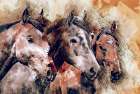 Horse Trio Art Print