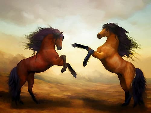 Horsing Around III Art Print