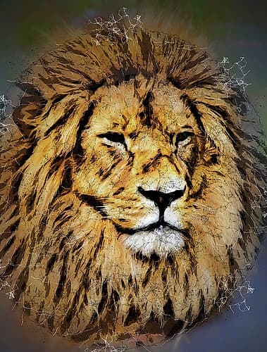 King of the Jungle Animaux reproduction