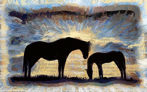 On the Range Art Print