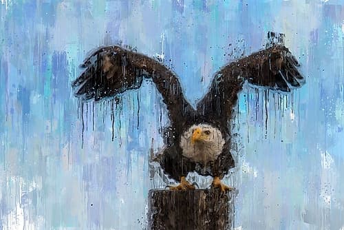Ready To Go III Art Print