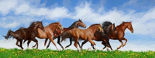 Running Wild Art Print