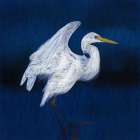 White Egret II Art Print