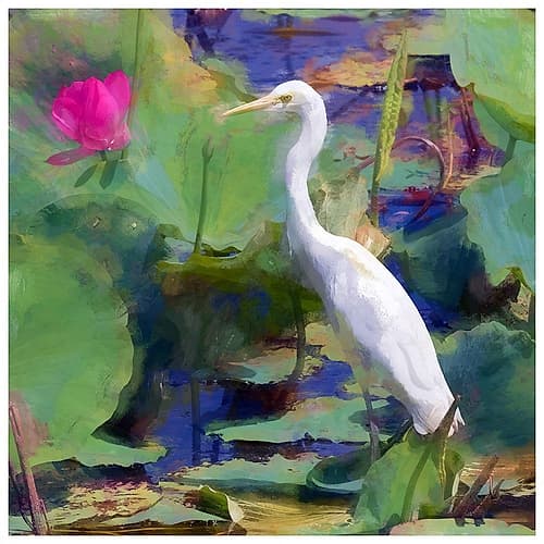 White Egret I Art Print