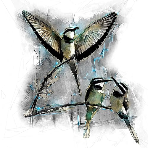 White Throated Bee Eater Art Print