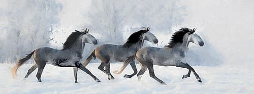 Winter Run Impressionniste reproduction