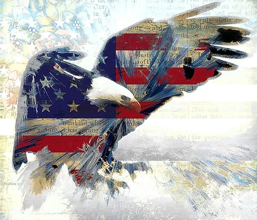 American Eagle Animaux reproduction