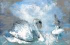Swan Lake Art Print