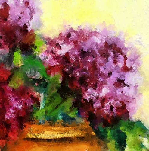 Hydrangea I Art Print