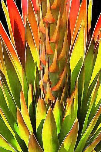 Agave I Art Print