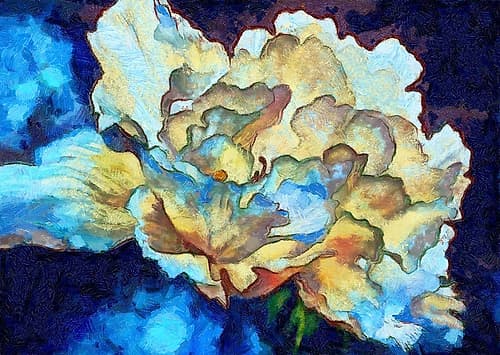 Summer Bloom I Art Print