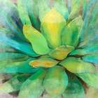 Green Echeveria Still Life Print