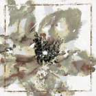 Calyx I Still Life Print