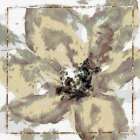 Calyx II Still Life Print