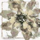 Calyx IV Still Life Print
