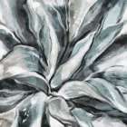 Cereus Aloe Still Life Print
