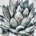 Cereus Echeveria Still Life Print
