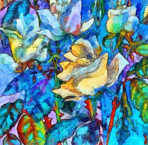 Yellow Rose Art Print