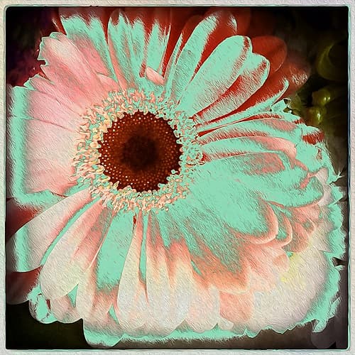 Floral Green Art Print