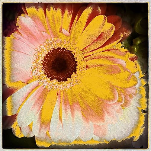 Floral Yellow Art Print