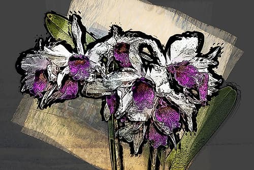 Magic Orchids I Art Print
