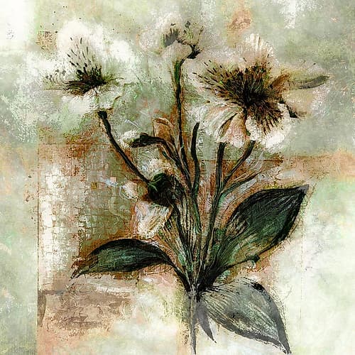 White Petals II Art Print