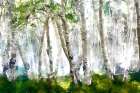 Elm Forest Art Print