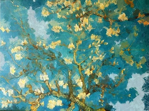 Cherry Blossoms Art Print
