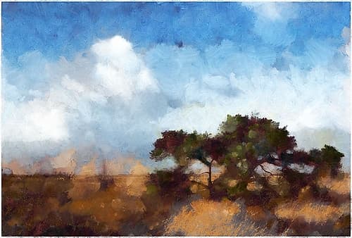 Golden Field Landscape Print