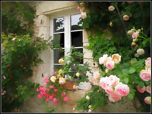 Amys Garden Art Print