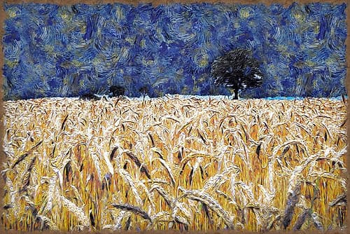 Barley Field Art Print