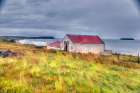 Oceanside Farmhouse Art Print