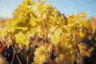 On the Vine Art Print