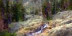 Shadow Creek Art Print