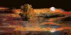Sunset Reflections Art Print