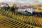 Sweet Vineyards Art Print
