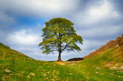 Sycamore Hill Landscape Print