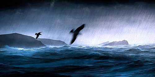Flying Through the Storm Coastal Print