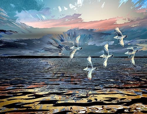 Gulls Coastal Print